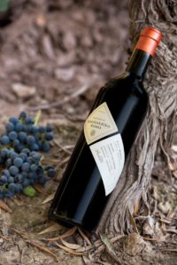 Pascual Toso Ultra Premium Magdalena – Beauty Image – Vine