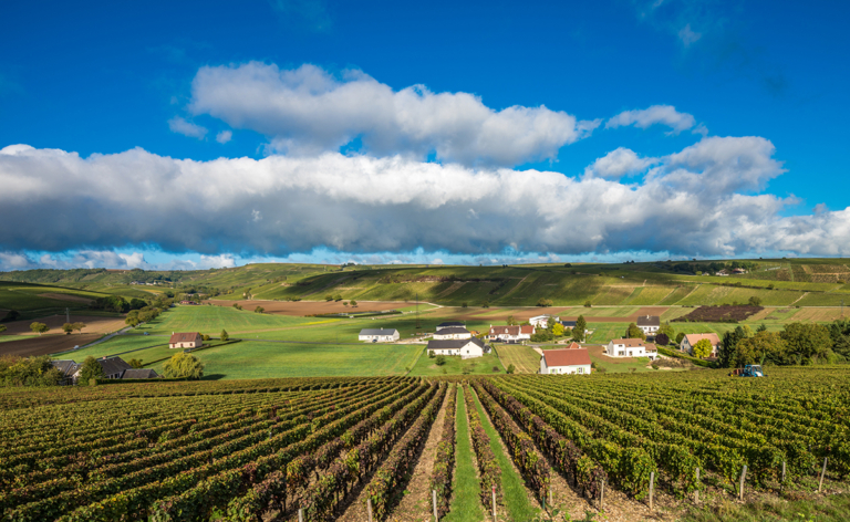 Stock Image - Loire, France