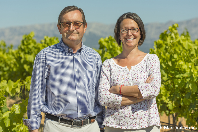 Château Ferry Lacombe - Photography - Pinot Family