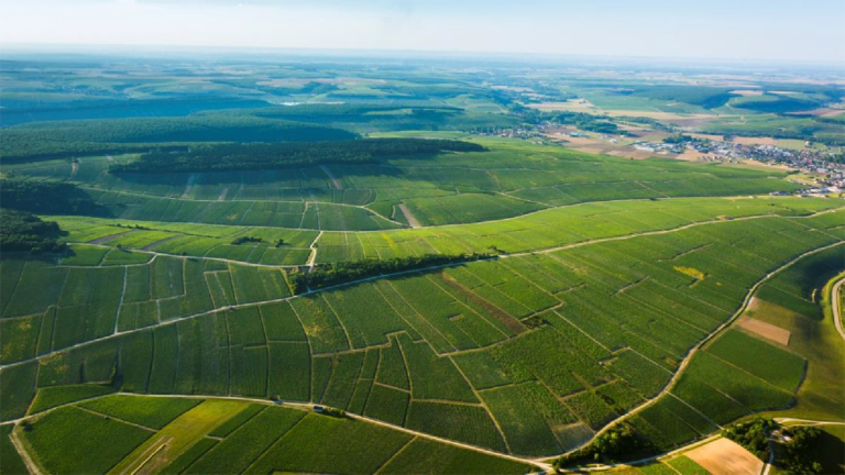 Domaine Carrion thumbnail