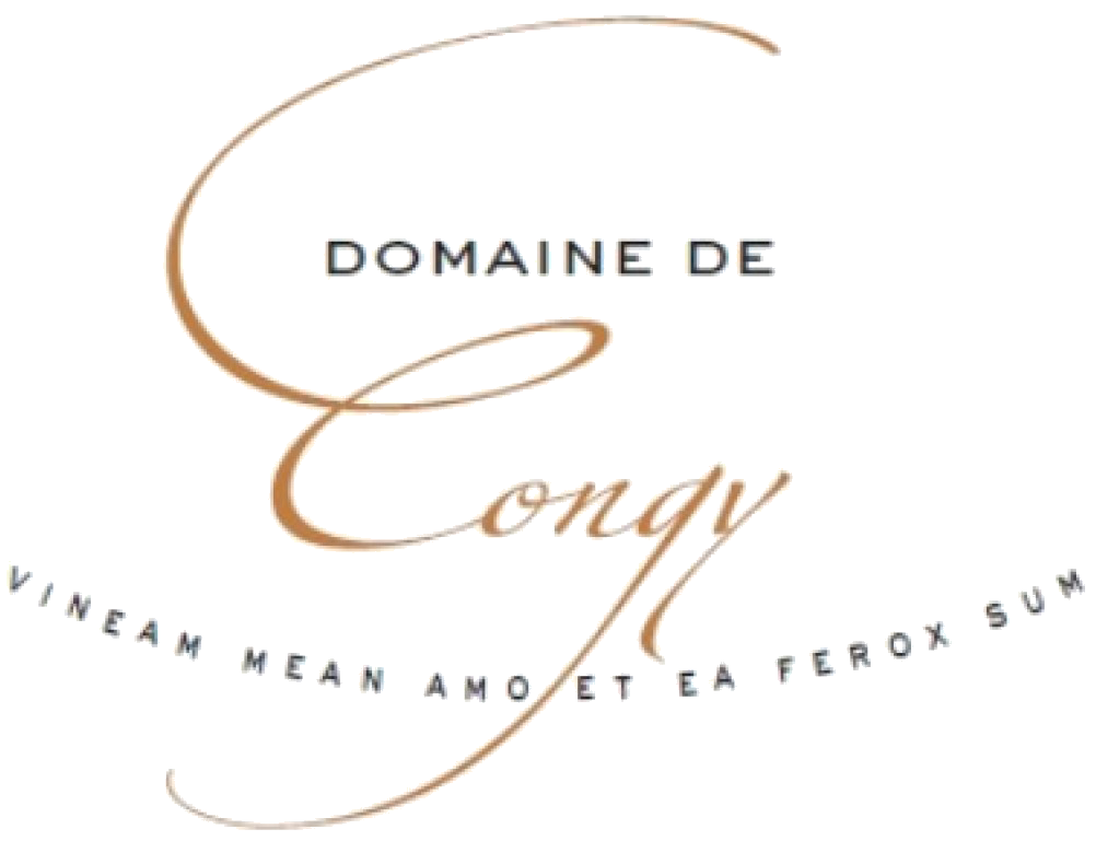 Domaine de Congy logo
