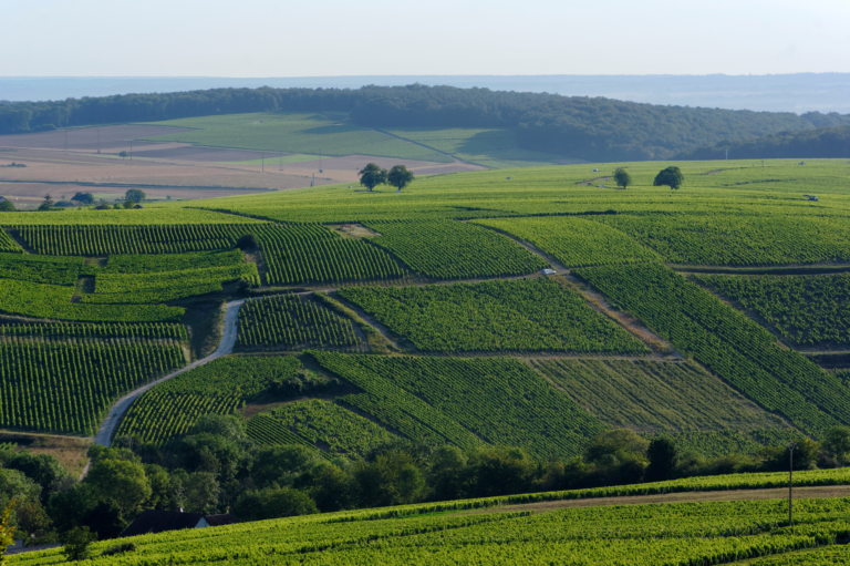 La Chapelle Du Berry - Stock Image