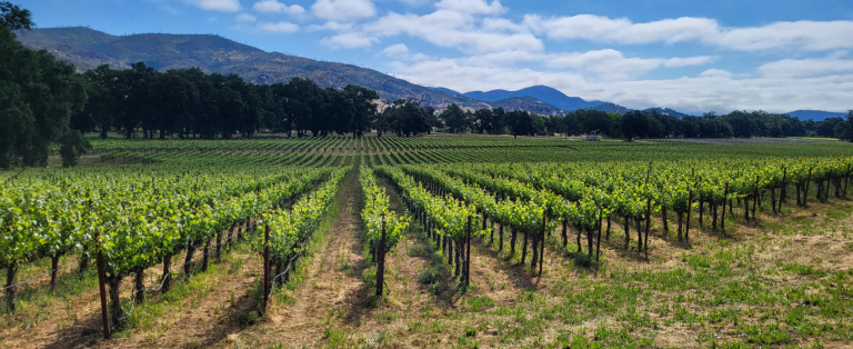 Atlas Peak thumbnail