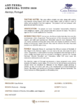 2020 Art.Terra Amphora Red – Fact Sheet