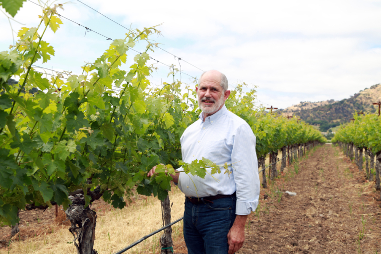 Eponymous - Photography - Bob Pepi