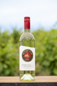Geyser Peak Sauvignon Blanc – Beauty