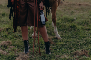 Leaping Horse Red Blend – Beauty – with Horse