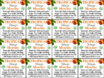 Tropical Mango Moscato – Generic Shelftalker Mini