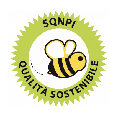 SQNPI - Logo
