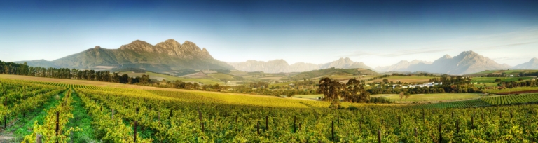 test campaign featured image