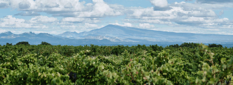 test campaign 2 featured image