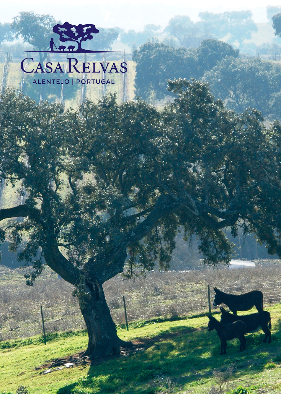 Quintessential - Sustainability - Donkeys under a tree